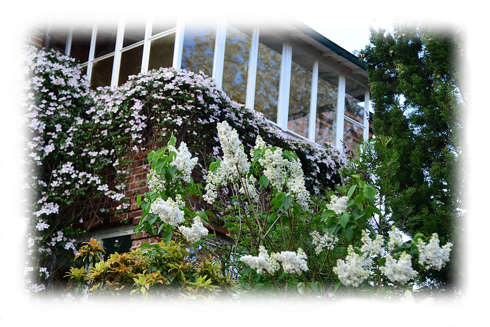 Picture Flats Appartements AM ROSENGARTEN Picture Flats Appartements AM ROSENGARTEN